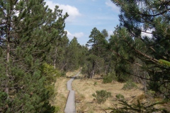 Brettlweg zur Wies